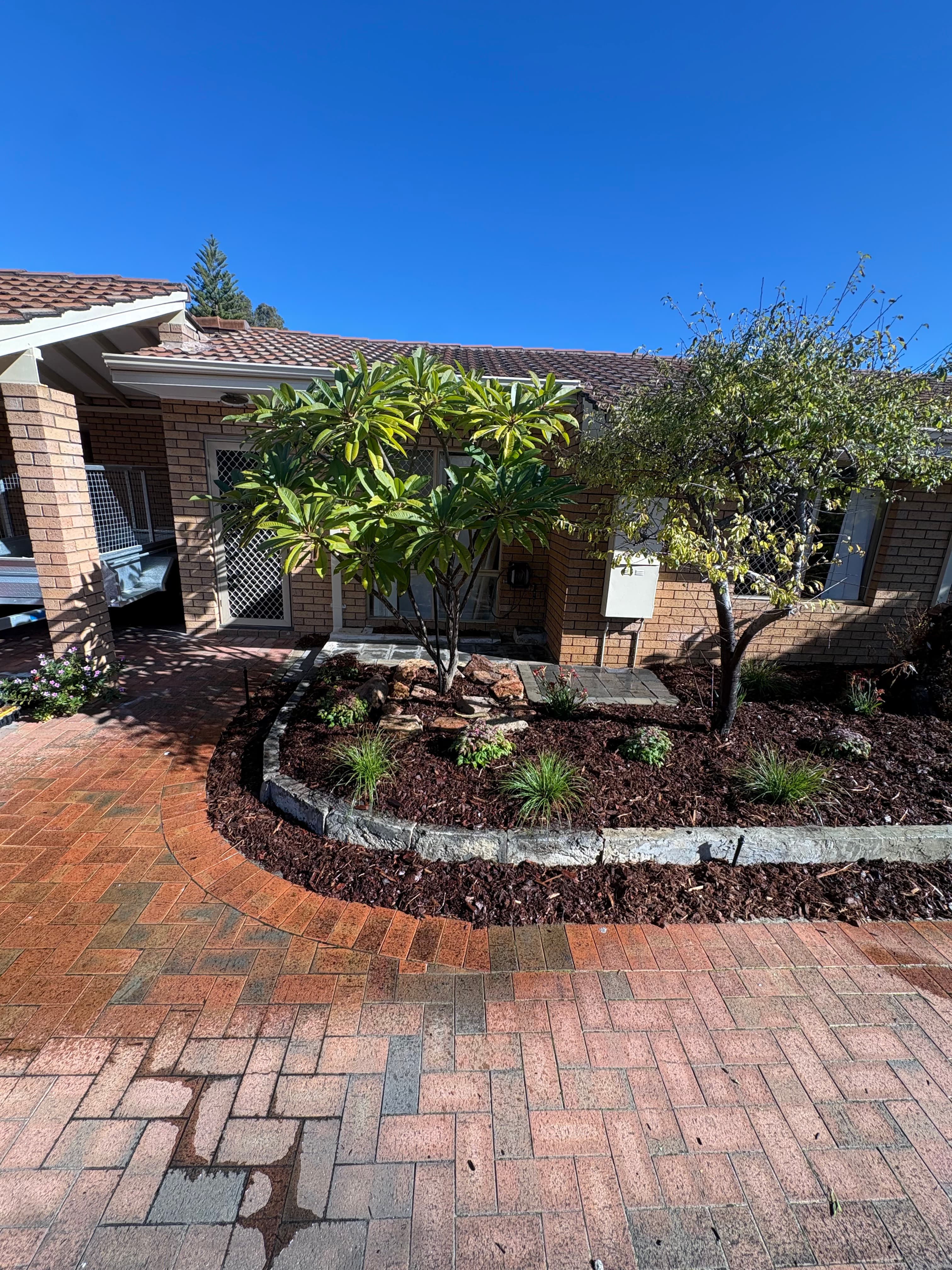 Plants & Mulch